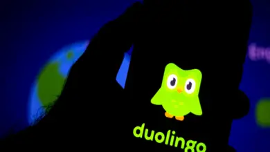 Photo of Duolingo plans to raise $558 mln at a valuation of $3.1 bln in an IPO, which could be a landmark for the EdTech sector