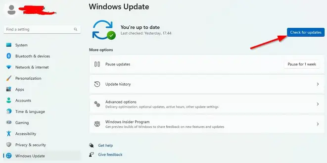 Windows Update section