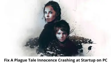 Photo of Quick Fix A Plague Tale Innocence Crashing at Startup on PC