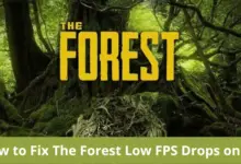 Photo of How to Fix The Forest Low FPS Drops on PC | Increase Performance